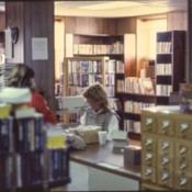 Staff and card catalog file