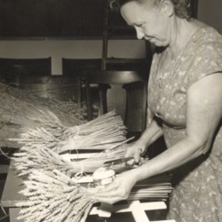 1962 tying grain Mrs Chas Violet.jpg