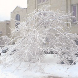 2003 Ice Storm