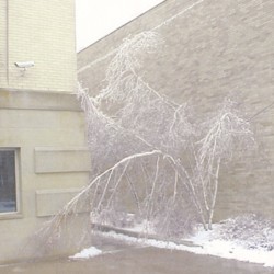 2003 Ice Storm
