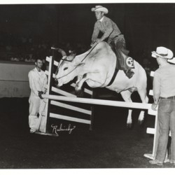 1970s rodeo.jpg