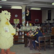 Big Bird in the Children&#039;s Department