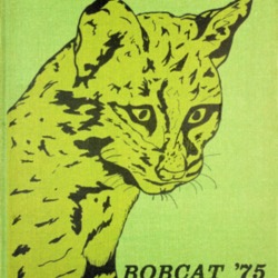 1975 Gree High School Yearbook.pdf